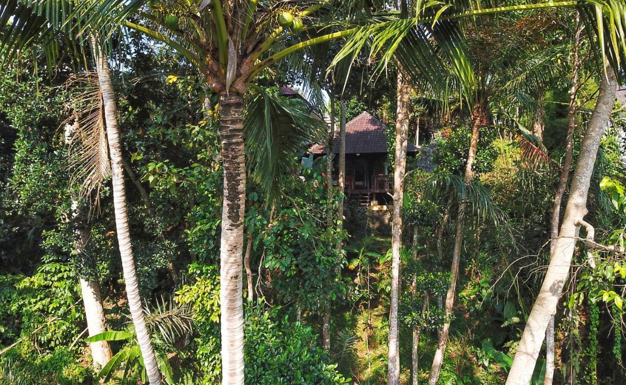 Secluded Jungle Villa Ubud Dış mekan fotoğraf